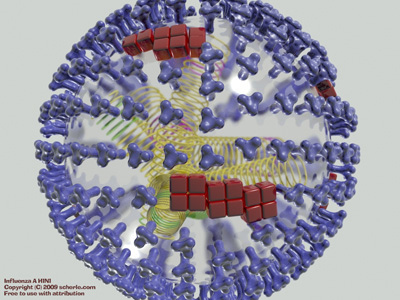 Modelo 3d del virus de la gripe A. Autor: Scherle. C Commons Attribution 3.0 Unported